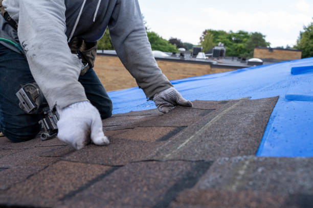 Best Residential Roof Replacement  in Coeburn, VA